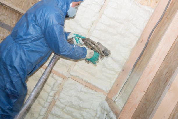 Best Wall Insulation Installation  in Carbonville, UT